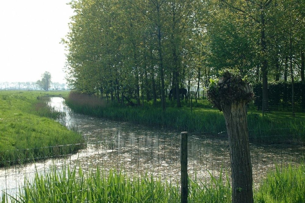 Pronkenburg 4* Brügge