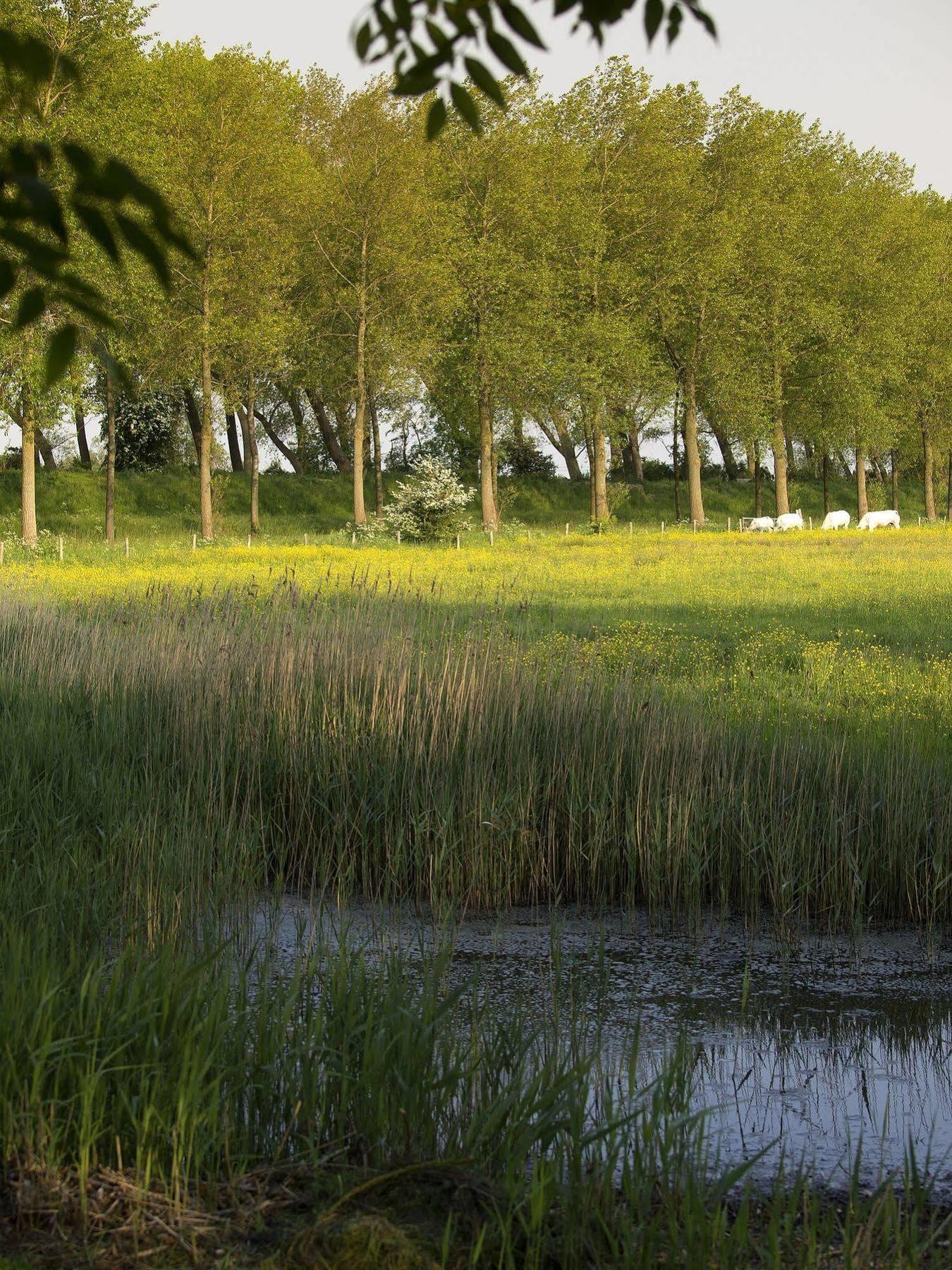 Frühstückspension Pronkenburg